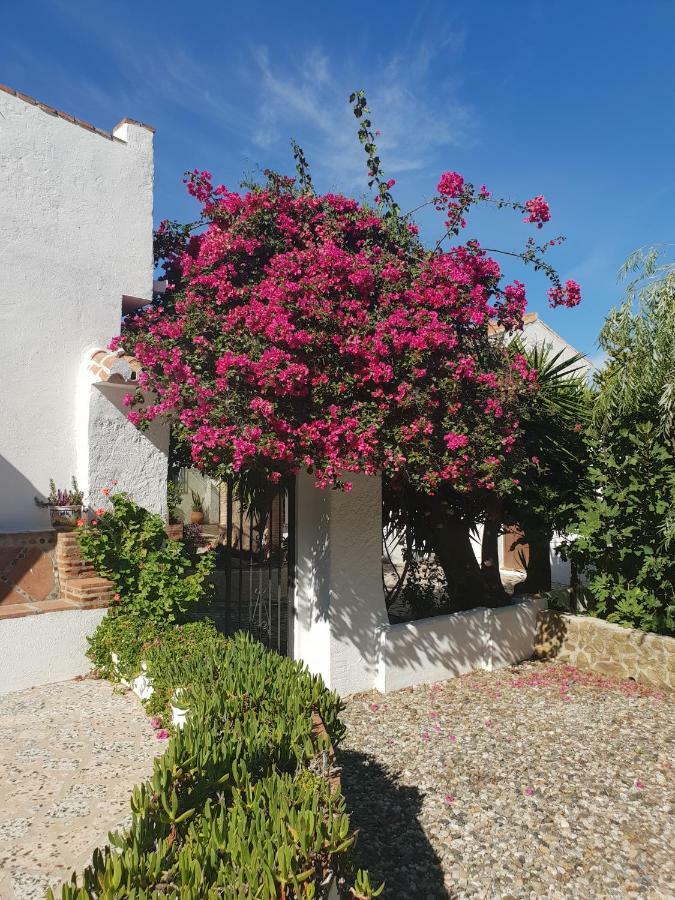 Casa Fuente De La Zorra Pensionat Alora Exteriör bild