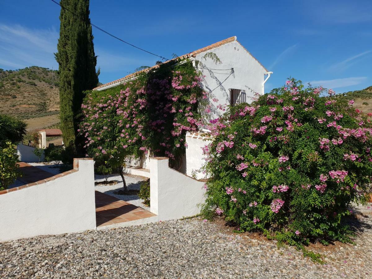 Casa Fuente De La Zorra Pensionat Alora Exteriör bild